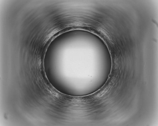 X0000098111065200804181445