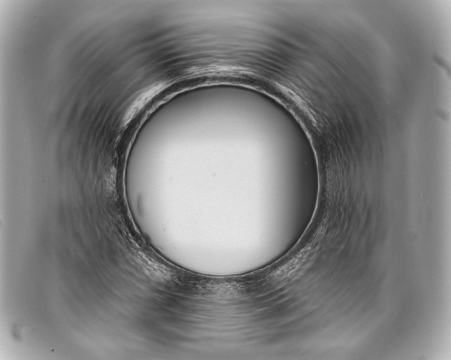 X0000098111066200804181445