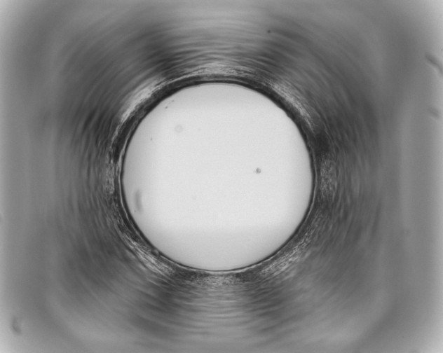 X0000098111067200804181445