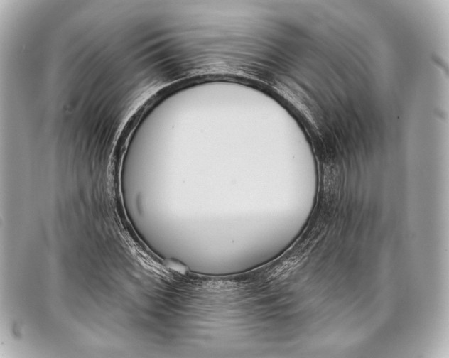 X0000098111068200804181445
