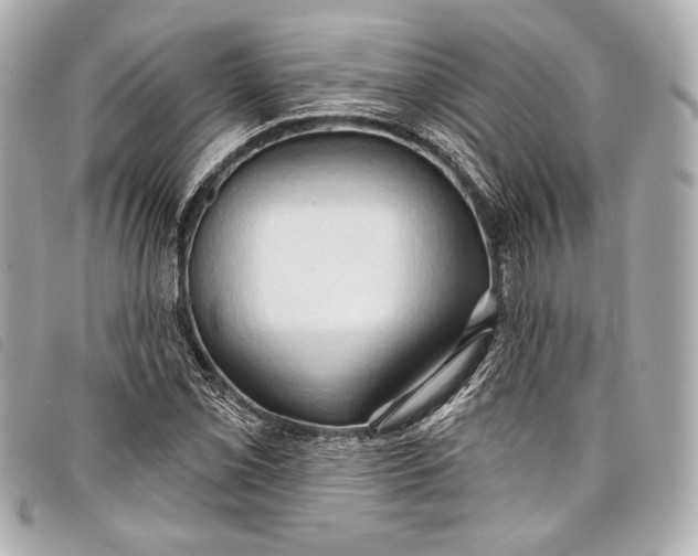 X0000098111069200804181445