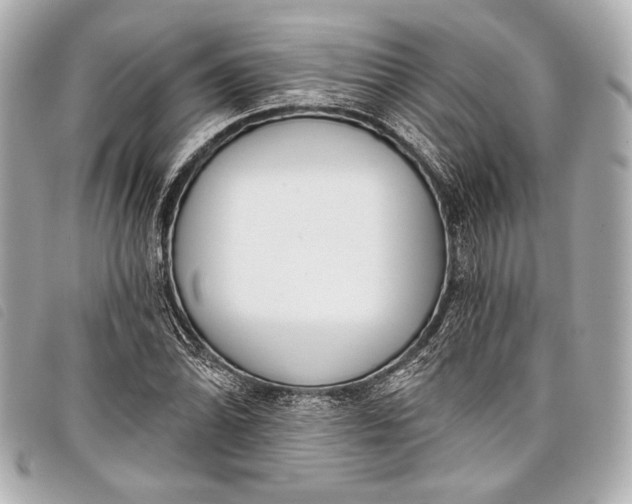 X0000098111070200804181445
