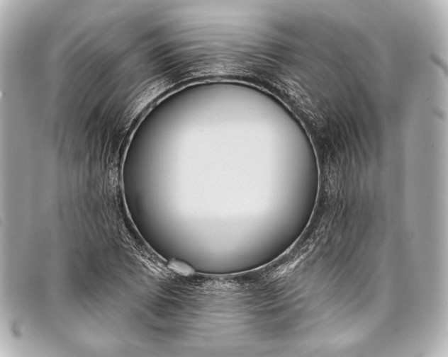 X0000098111073200804181445