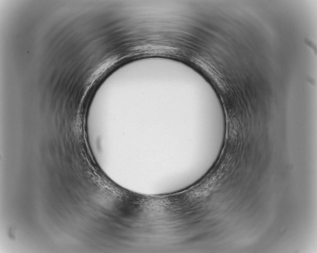 X0000098111074200804181445