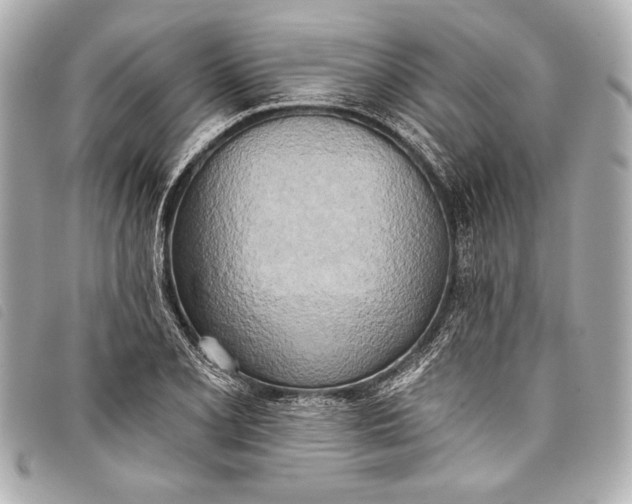 X0000098111077200804181445