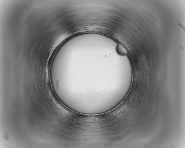 X0000098111079200804181445