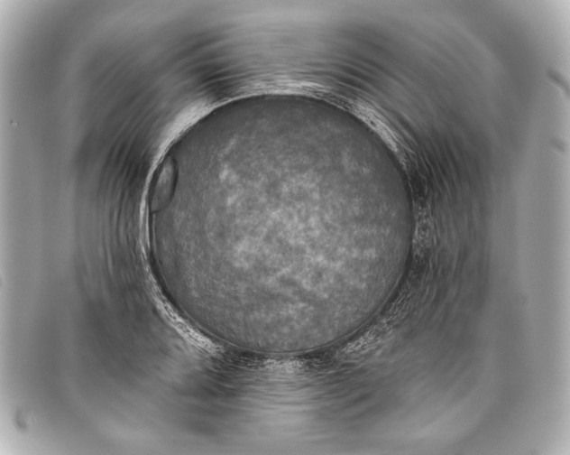 X0000098111080200804181445