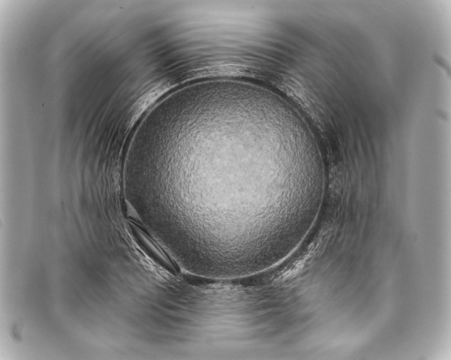 X0000098111081200804181445