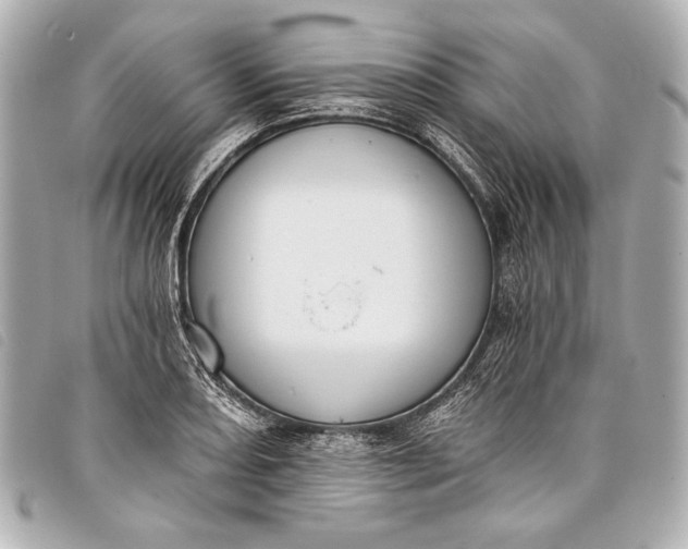 X0000098111082200804181445