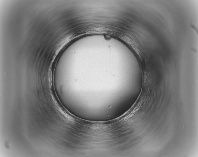 X0000098111083200804181445