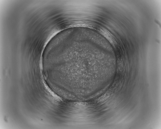 X0000098111084200804181445
