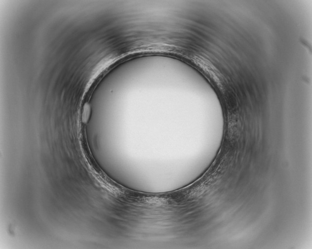 X0000098111085200804181445