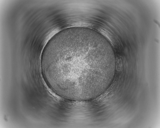 X0000098111087200804181445