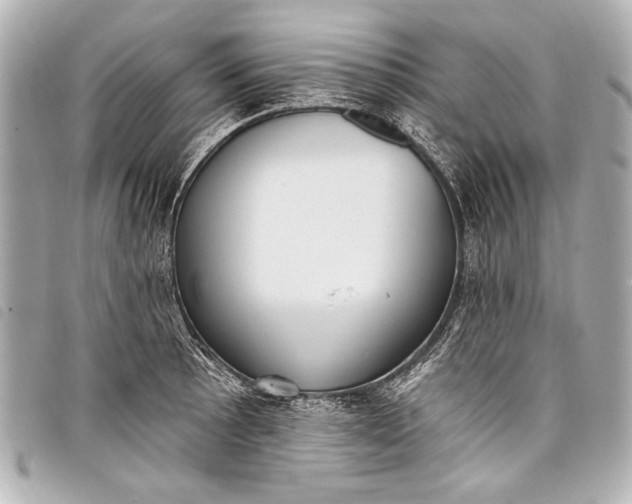 X0000098111089200804181445
