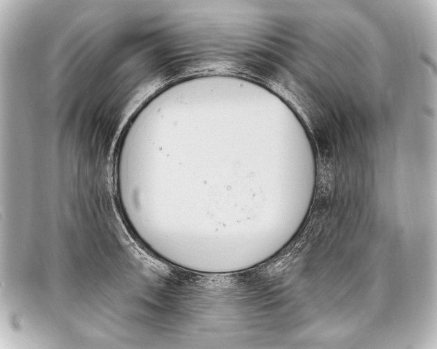 X0000098111090200804181445