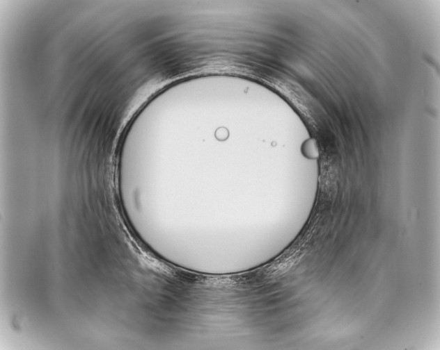 X0000098111094200804181445