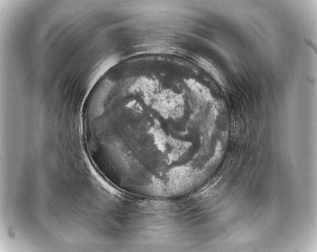 X0000098111095200804181445