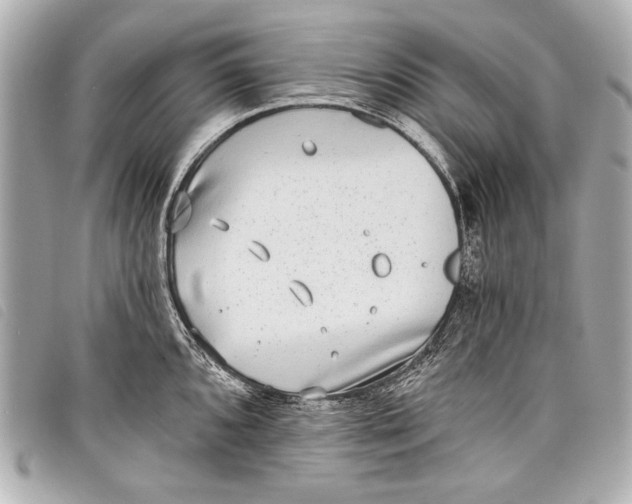X0000098111096200804181445