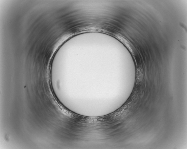 X0000098111098200804181445