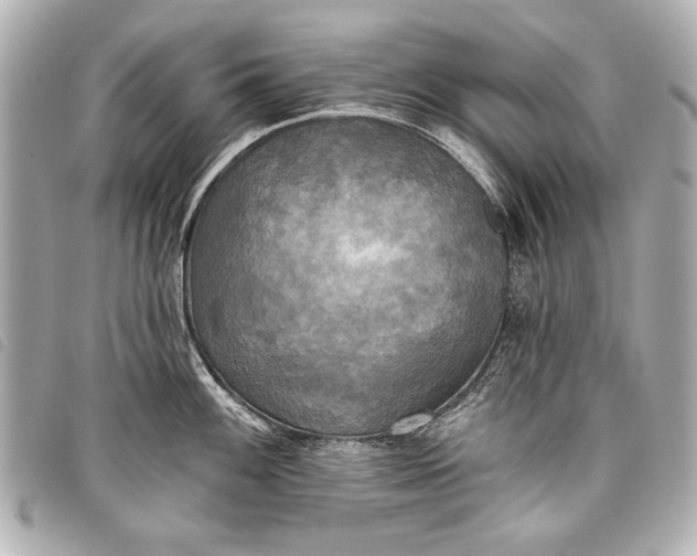 X0000098111100200804181445