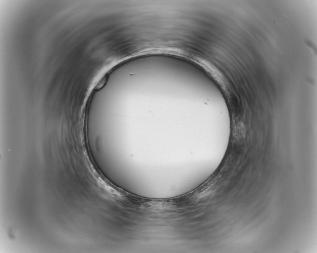 X0000098111102200804181445
