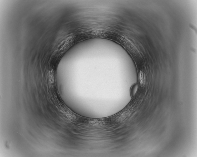 X0000098111107200804181444