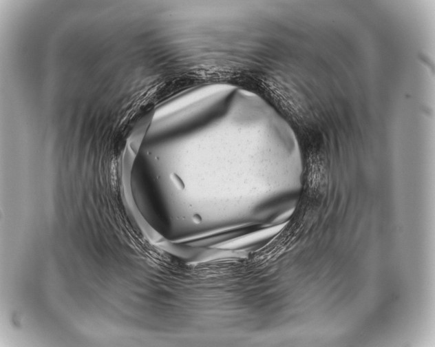 X0000098111108200804181444