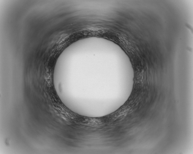X0000098111109200804181444