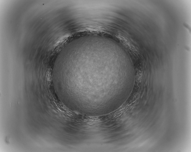 X0000098111110200804181444