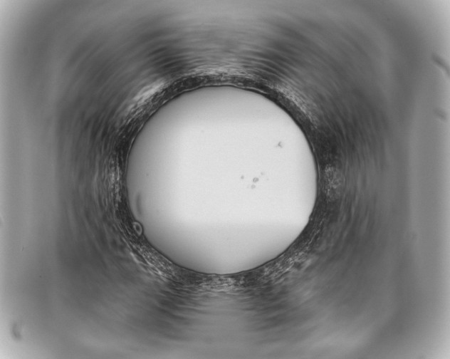 X0000098111111200804181444