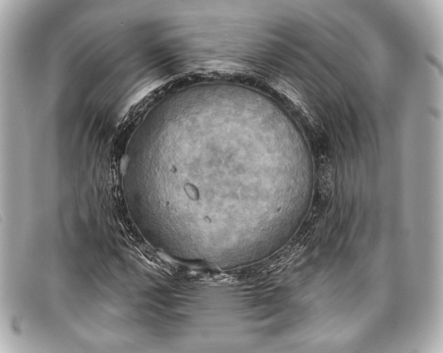 X0000098111112200804181444