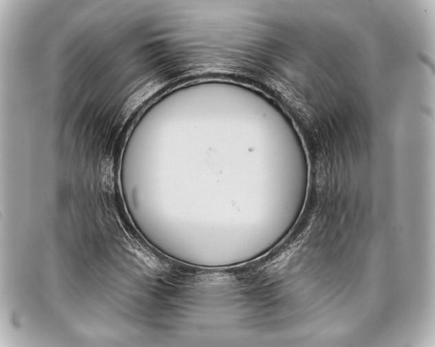 X0000098111113200804181444
