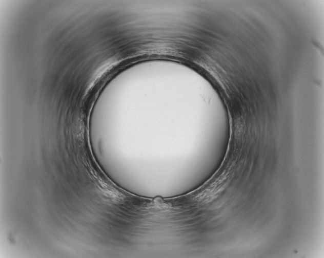 X0000098111115200804181444