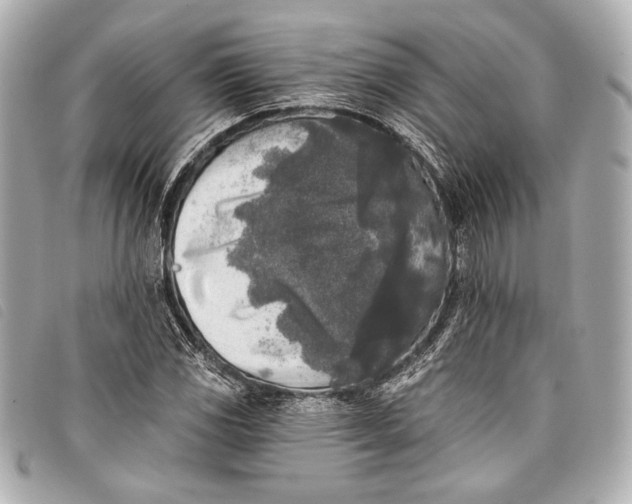 X0000098111117200804181444