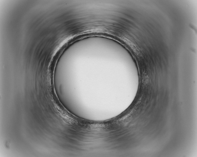 X0000098111118200804181444