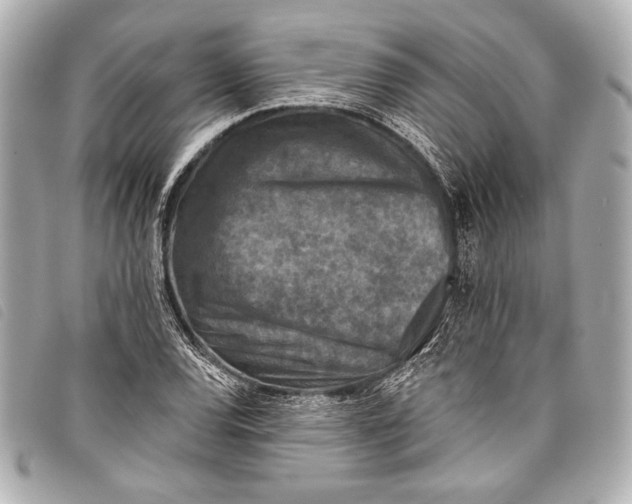X0000098111120200804181444