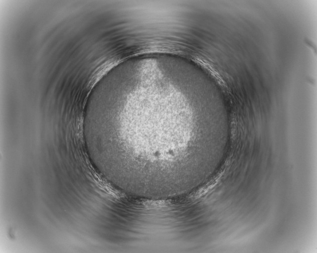X0000098111121200804181444