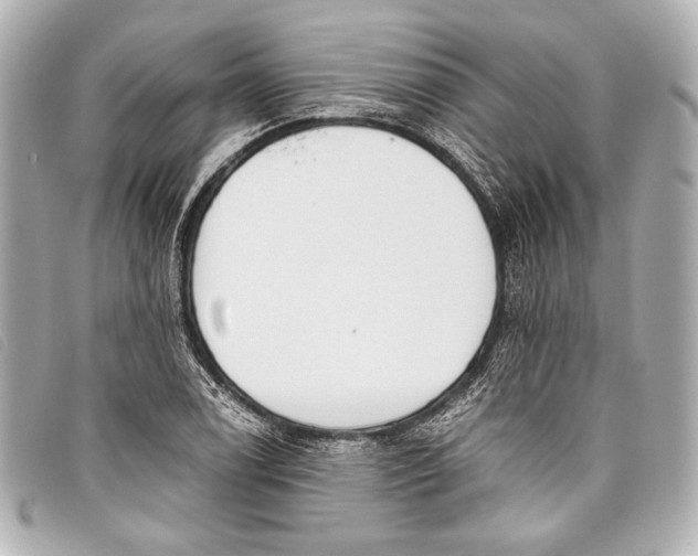 X0000098111122200804181444