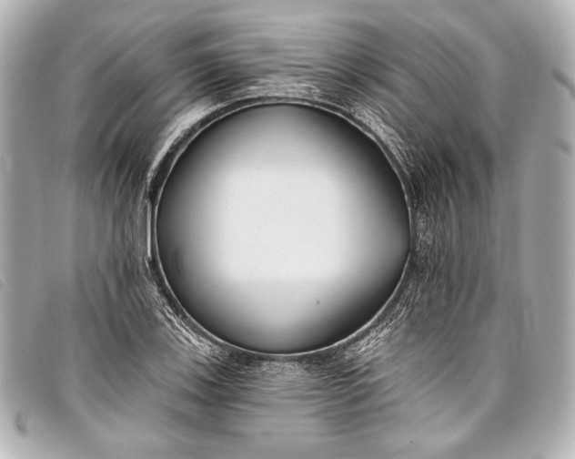 X0000098111123200804181444