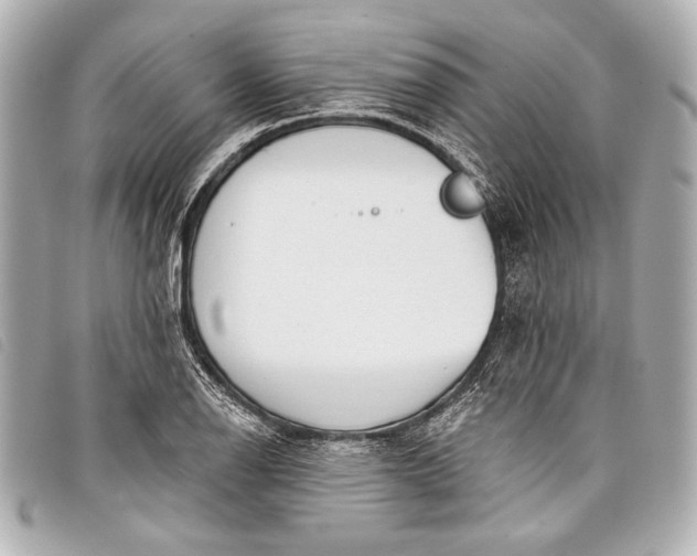 X0000098111126200804181444
