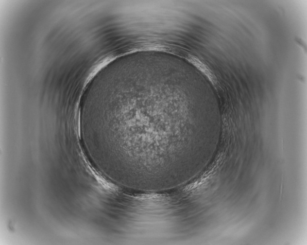 X0000098111127200804181444