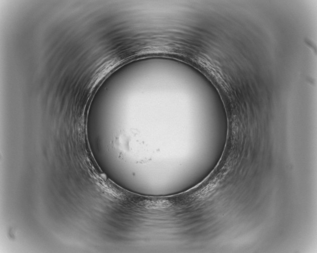 X0000098111129200804181444