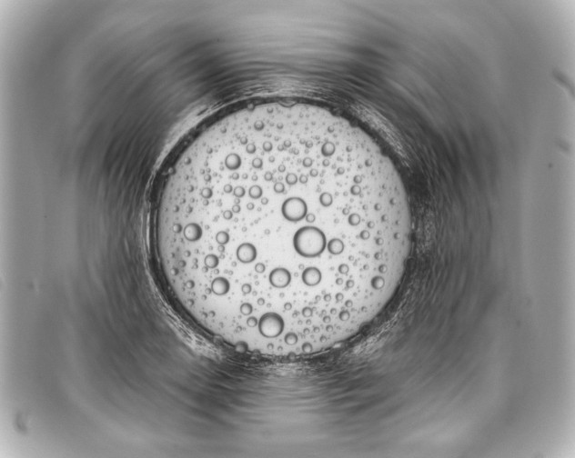 X0000098111130200804181444