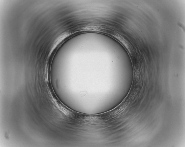 X0000098111131200804181444