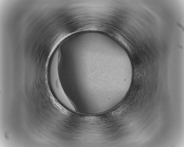 X0000098111132200804181444