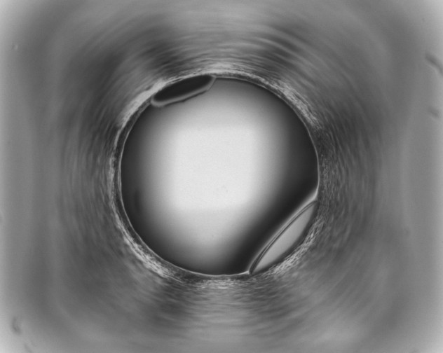 X0000098111134200804181444