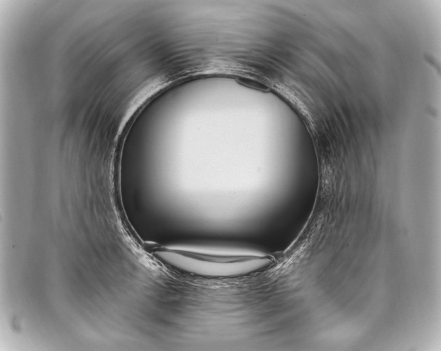 X0000098111138200804181444