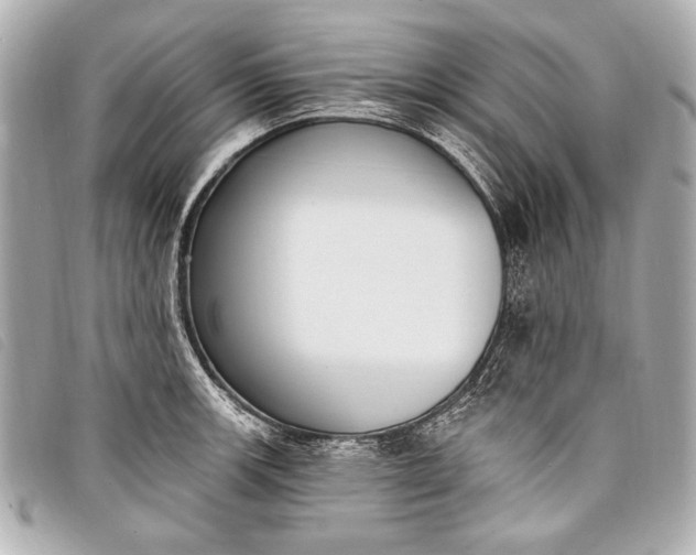 X0000098111139200804181444