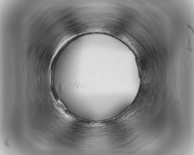 X0000098111140200804181444