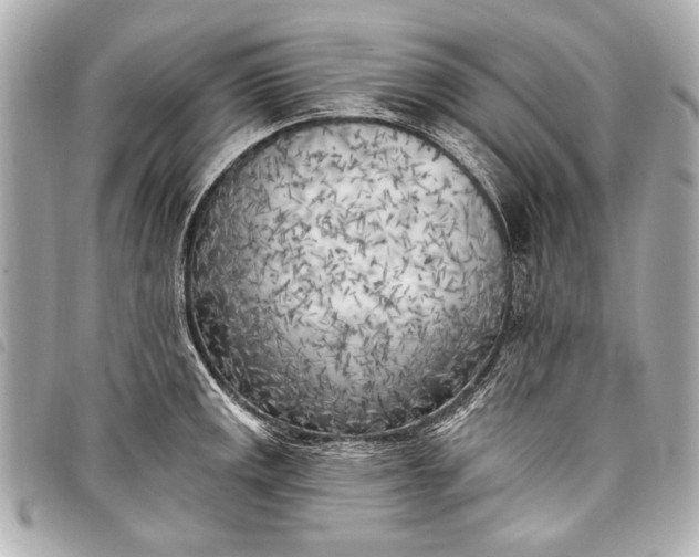 X0000098111141200804181444